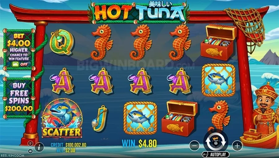 Professional Live Dealers